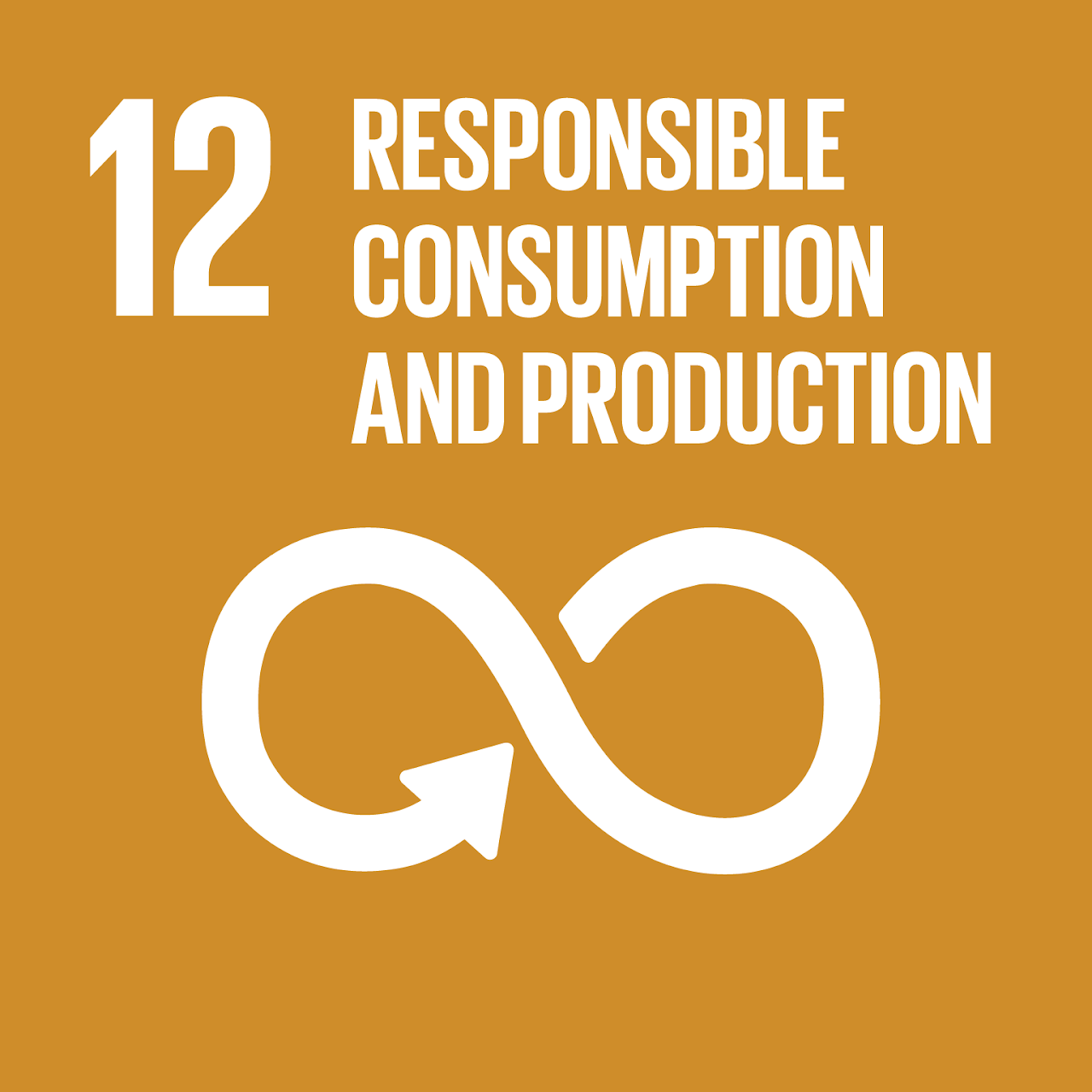 SDG12 SDG12